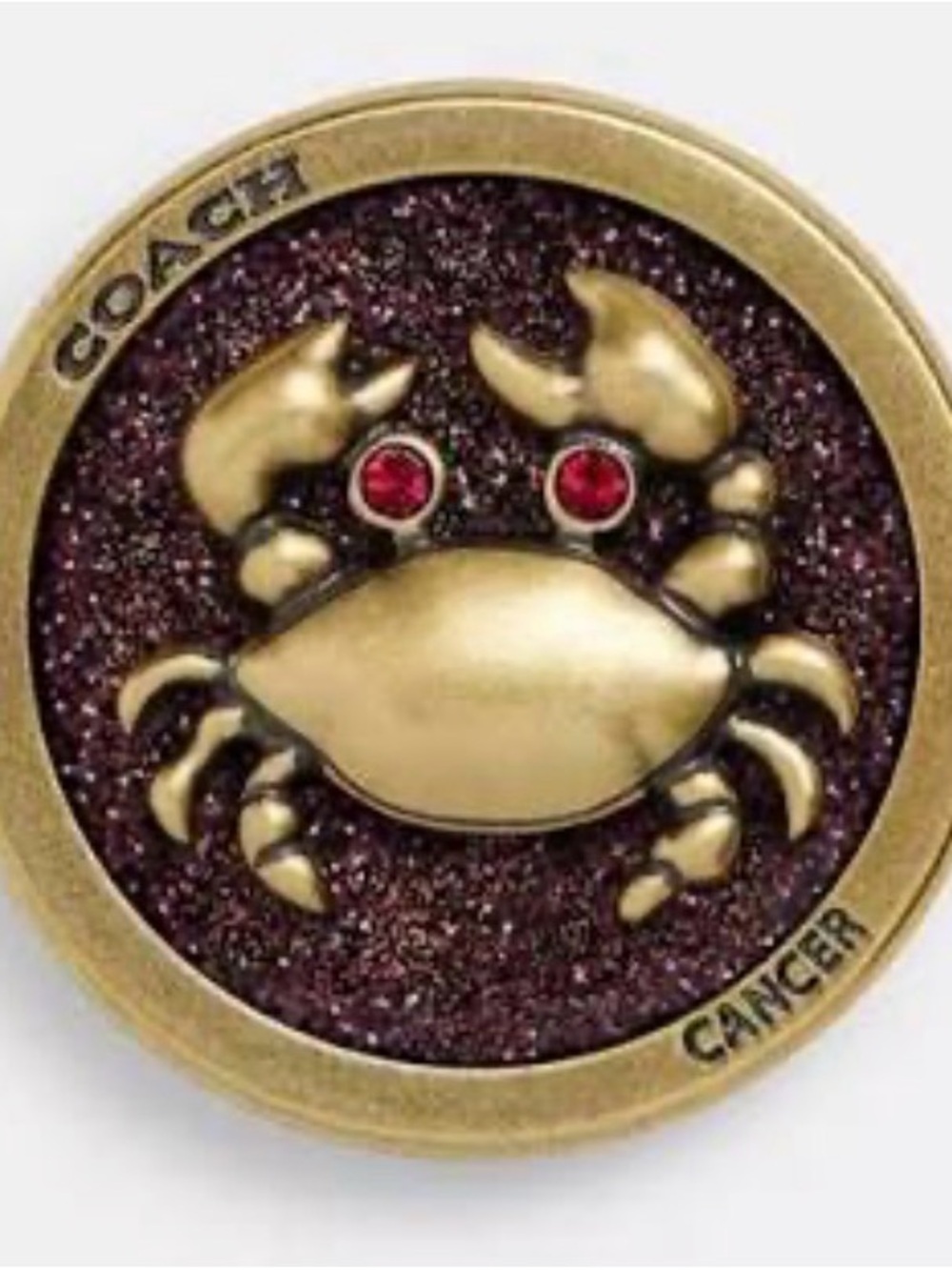 COACH Cancer Zodiac Souvenir Pin CBV61 NWT Sealed Crystal Collectible